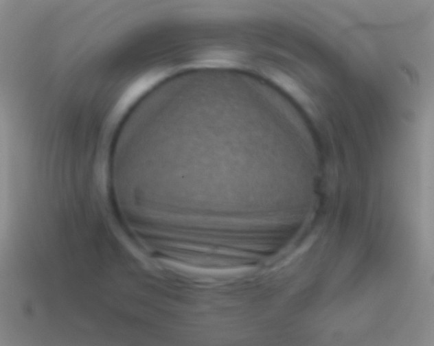 X0000114221469200910231433