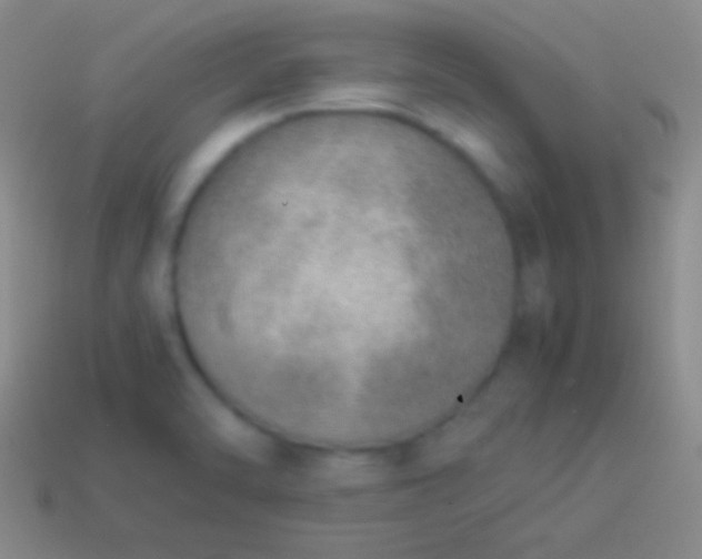 X0000114221470200910231433