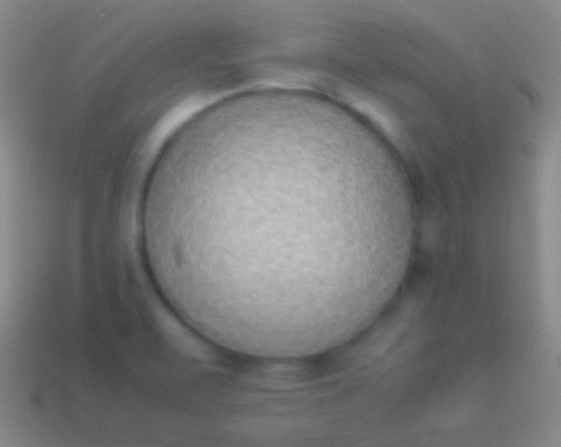 X0000114221471200910231433