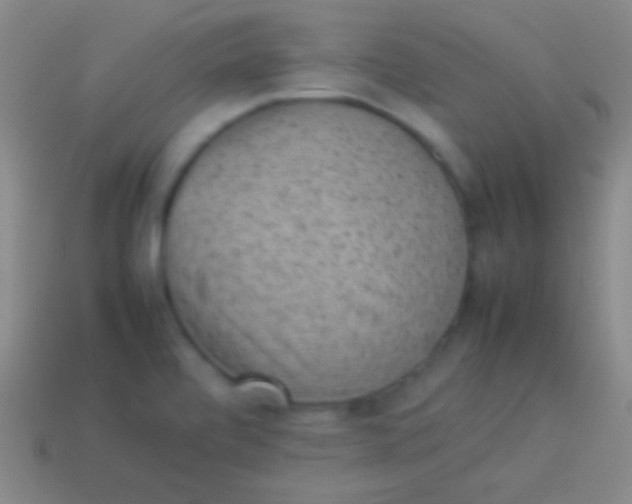 X0000114221472200910231433