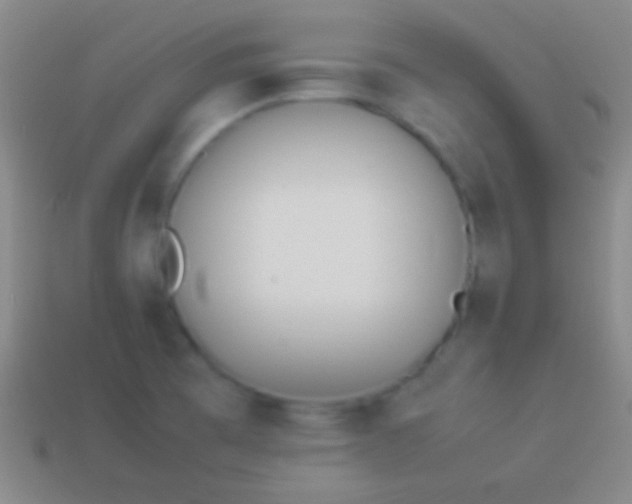 X0000114221473200910231433