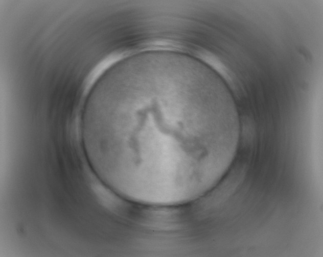 X0000114221474200910231433