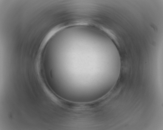 X0000114221475200910231433