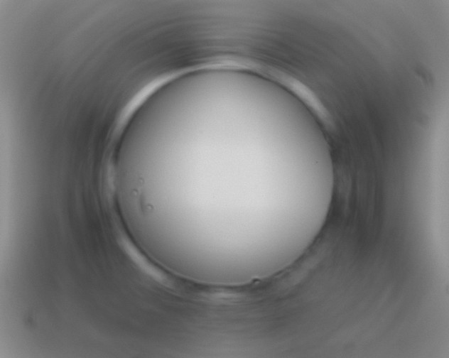 X0000114221476200910231433