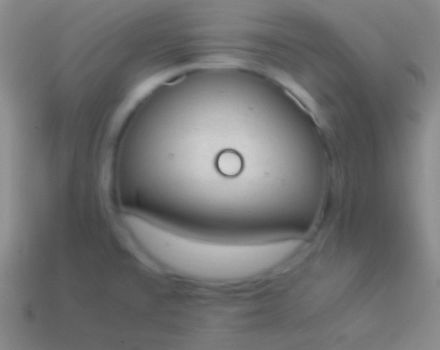 X0000114221477200910231433