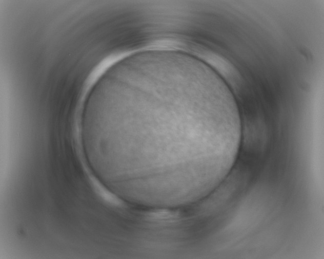 X0000114221478200910231433