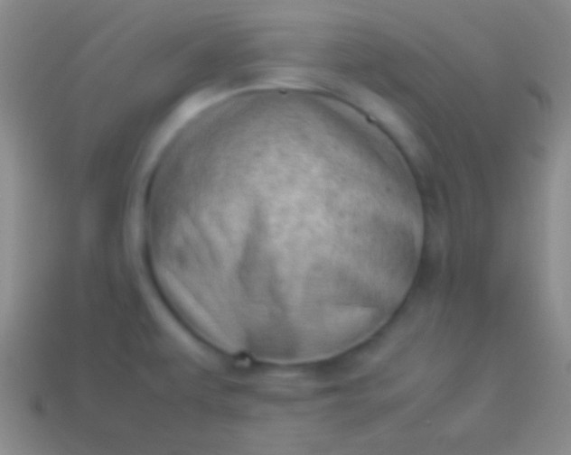 X0000114221479200910231433