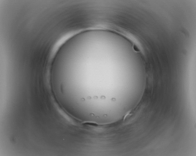 X0000114221480200910231433