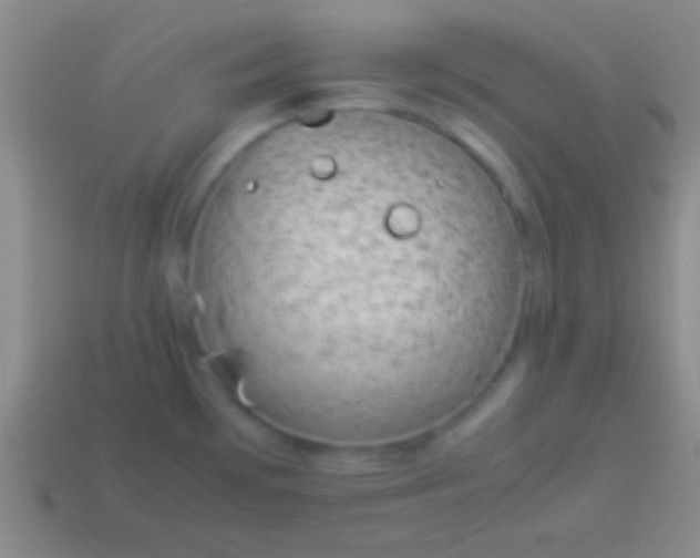 X0000114221481200910231433