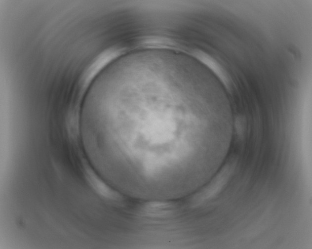 X0000114221482200910231433