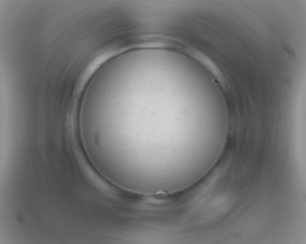 X0000114221483200910231433