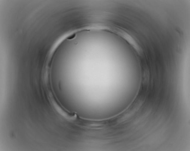 X0000114221484200910231433