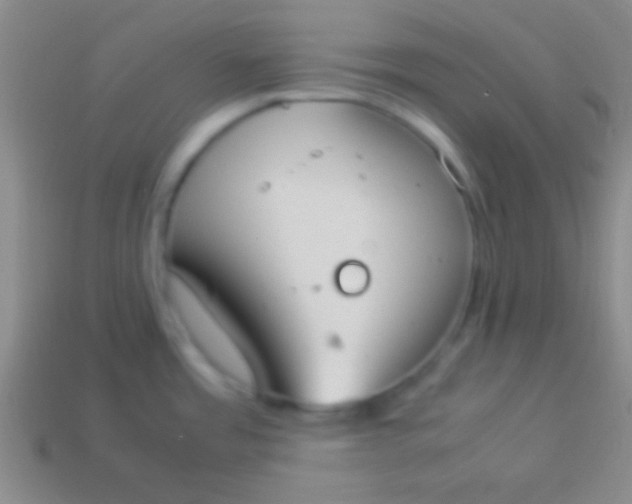 X0000114221485200910231433