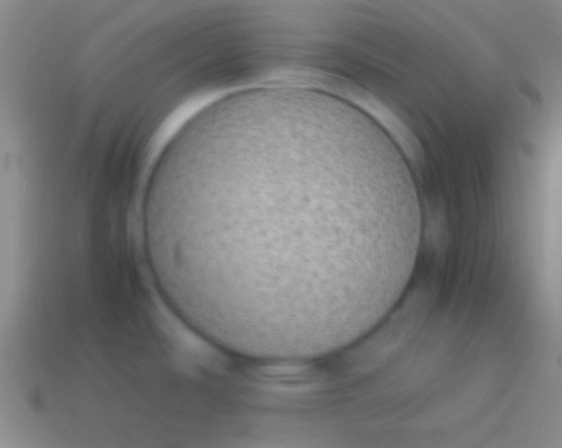 X0000114221486200910231433