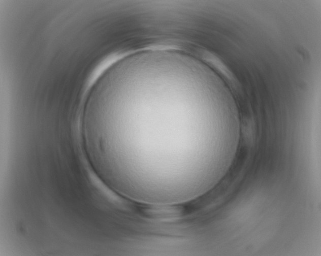 X0000114221487200910231433