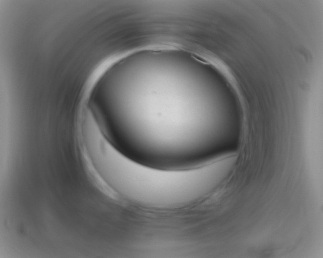 X0000114221488200910231433