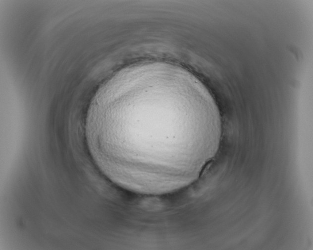 X0000114221489200910231432