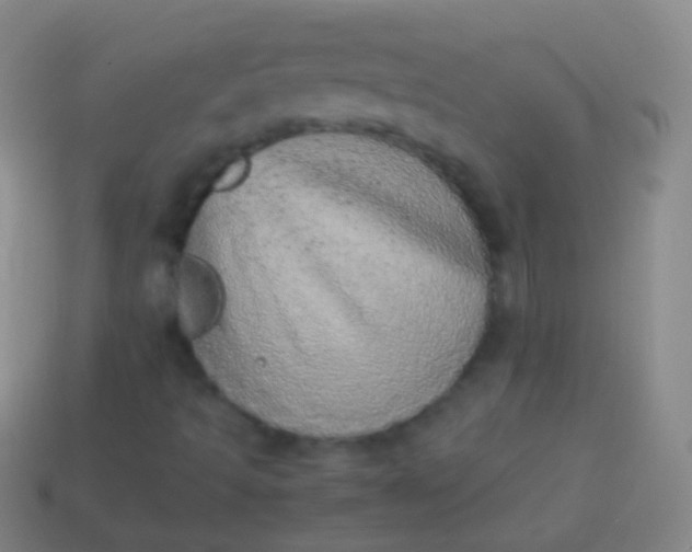 X0000114221493200910231432