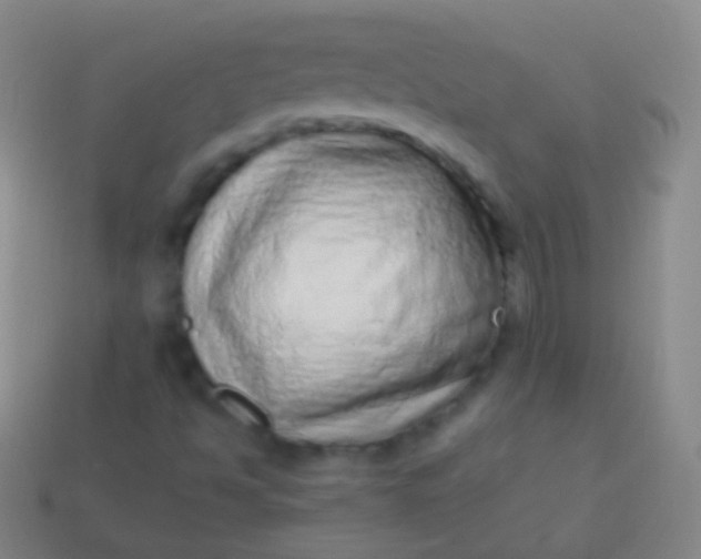 X0000114221494200910231432