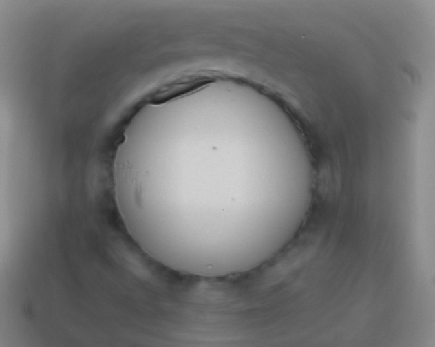 X0000114221496200910231432