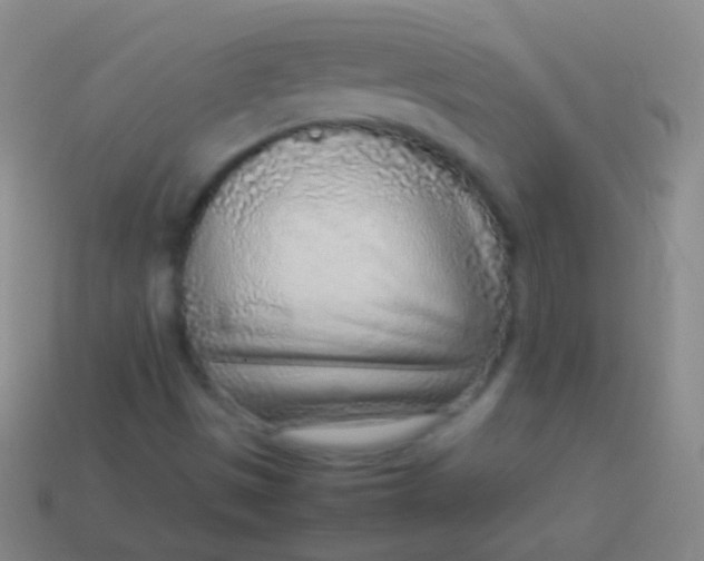 X0000114221497200910231432