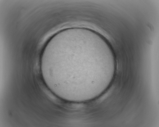 X0000114221498200910231432