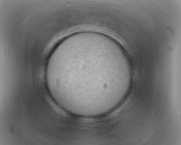 X0000114221499200910231432