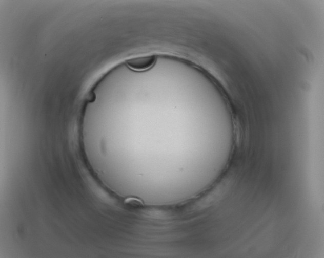 X0000114221500200910231432