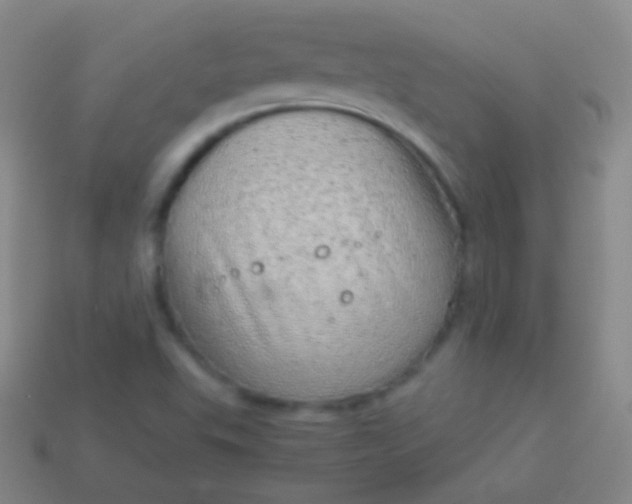 X0000114221503200910231432