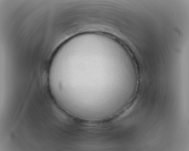 X0000114221505200910231432