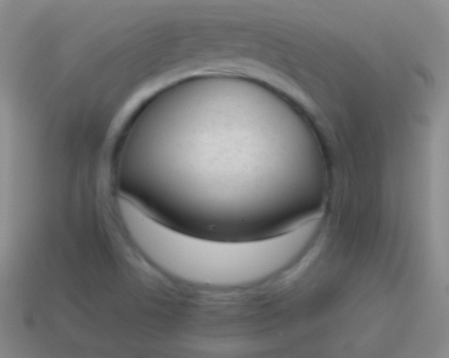 X0000114221506200910231432