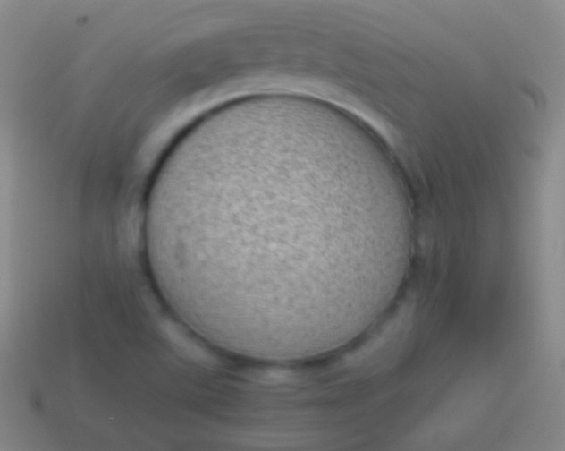 X0000114221507200910231432