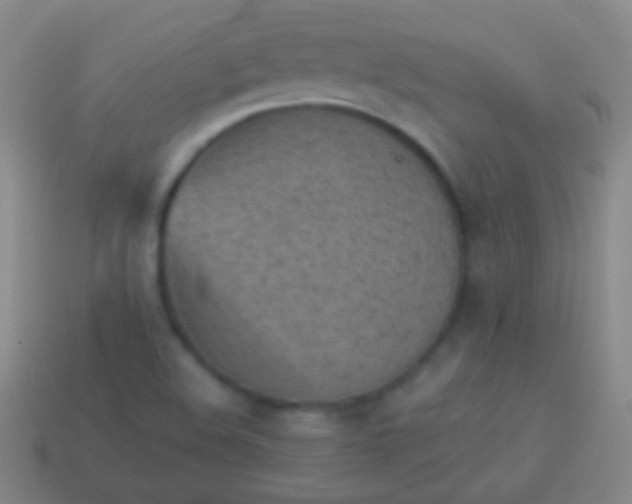 X0000114221508200910231432