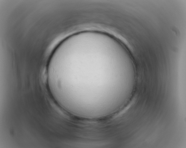 X0000114221509200910231432