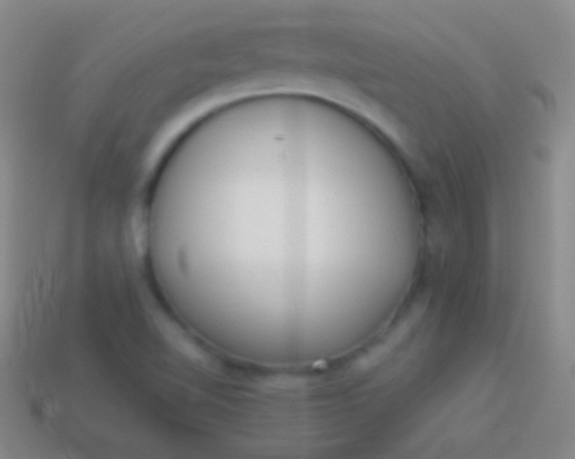 X0000114221510200910231432