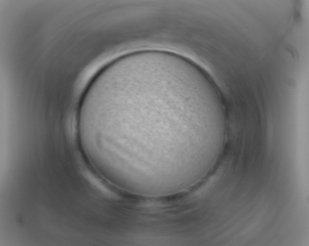 X0000114221511200910231432