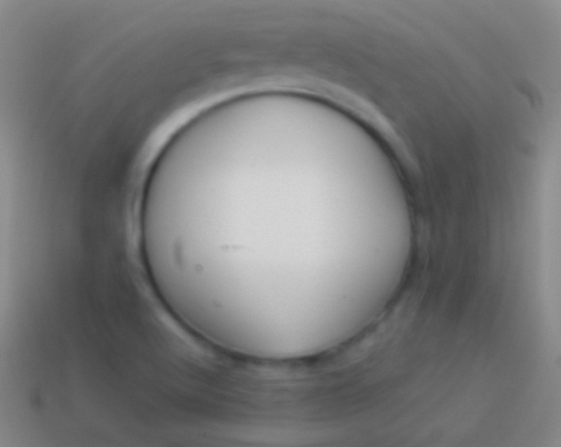 X0000114221512200910231432