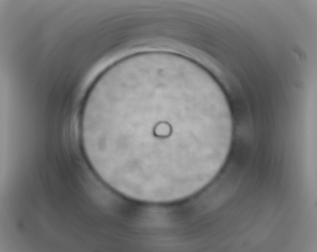 X0000114221514200910231432