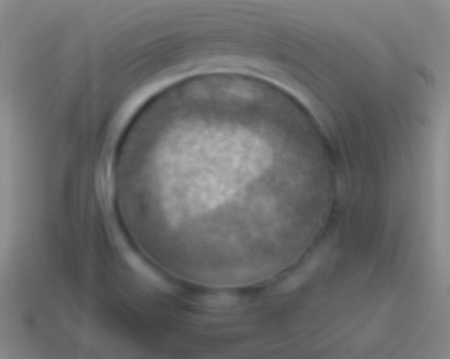 X0000114221515200910231432