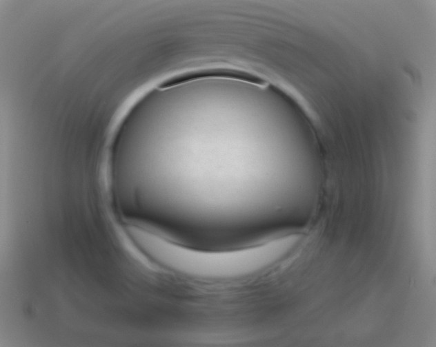 X0000114221516200910231432