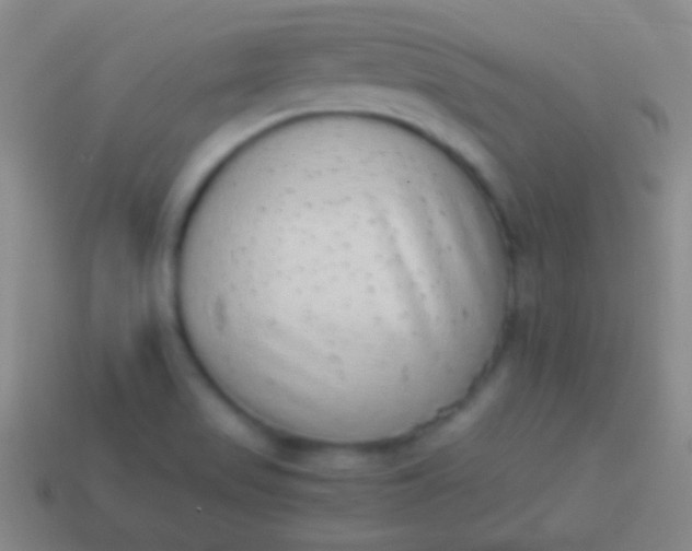 X0000114221517200910231432