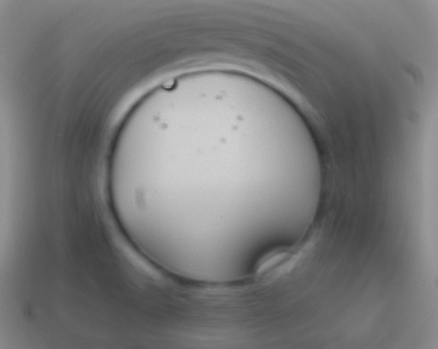 X0000114221518200910231432