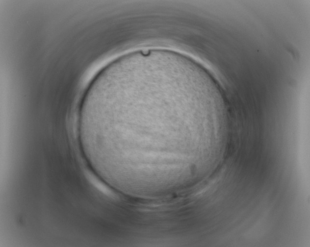 X0000114221519200910231432