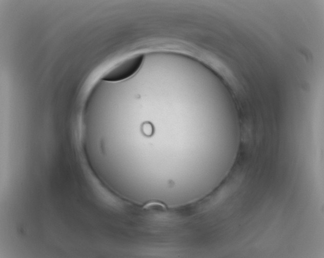 X0000114221520200910231432