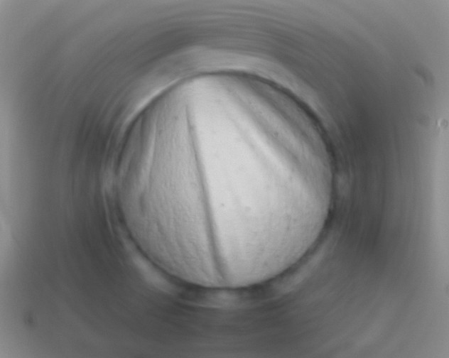 X0000114221521200910231432