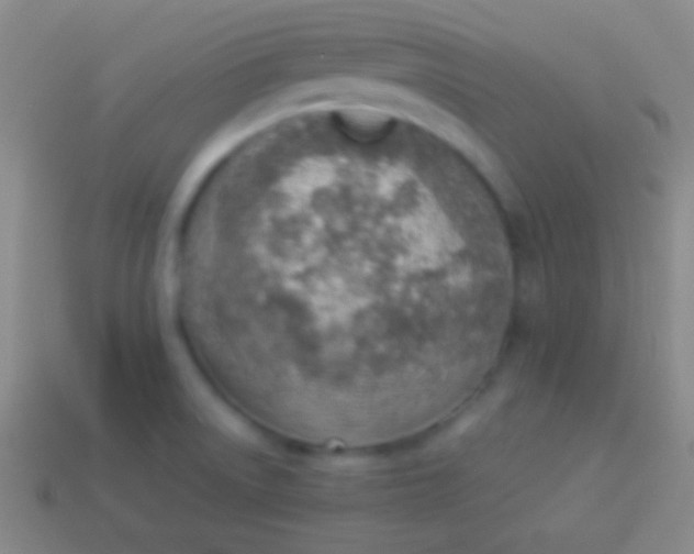 X0000114221522200910231432