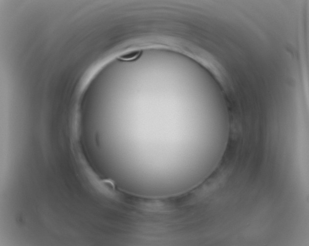 X0000114221524200910231432