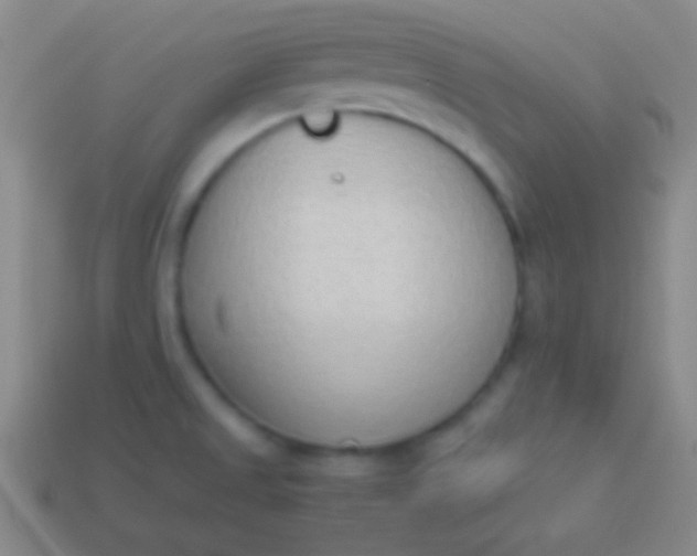 X0000114221525200910231433