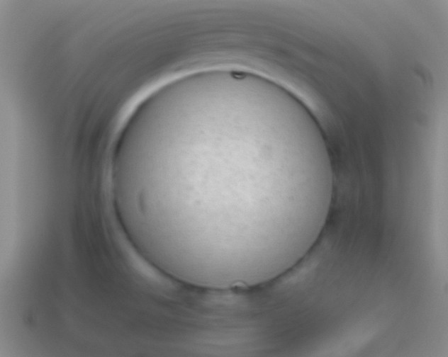 X0000114221526200910231433