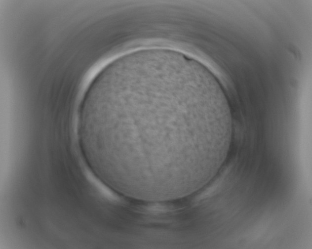 X0000114221527200910231433